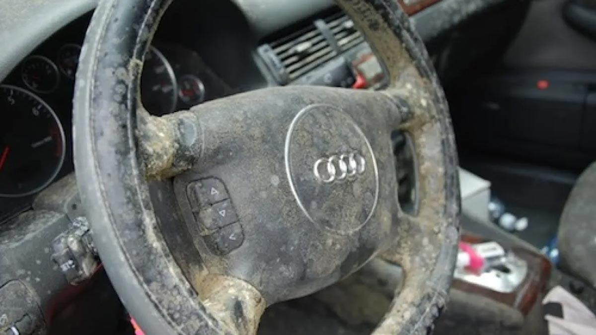 Mold in Your Car: How Do You Get Rid Of It?