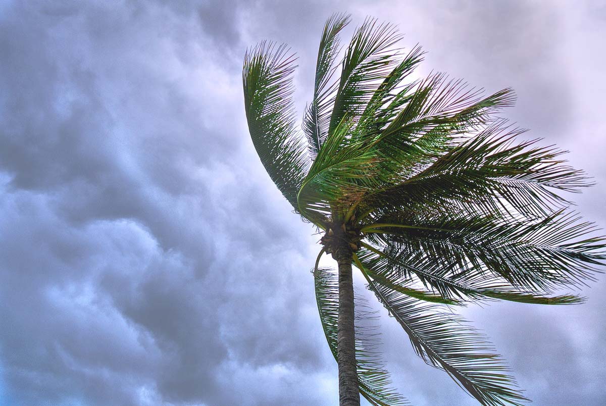 Tips for Surviving Severe Weather